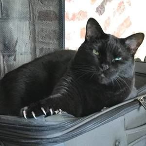 Meet your Posher, Nancy